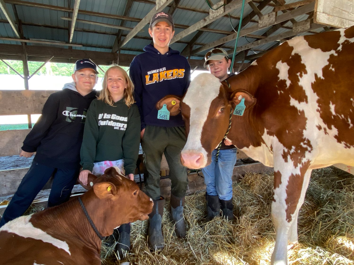 Hunter Vandam, 10, of Cairo, Marion Brayman, 9, Everett Brayman, 13 and Jacob Brayman, 12 of Skaneateles with their red and white Holsteins at the Delaware County Fair on Sunday, Aug. 14.